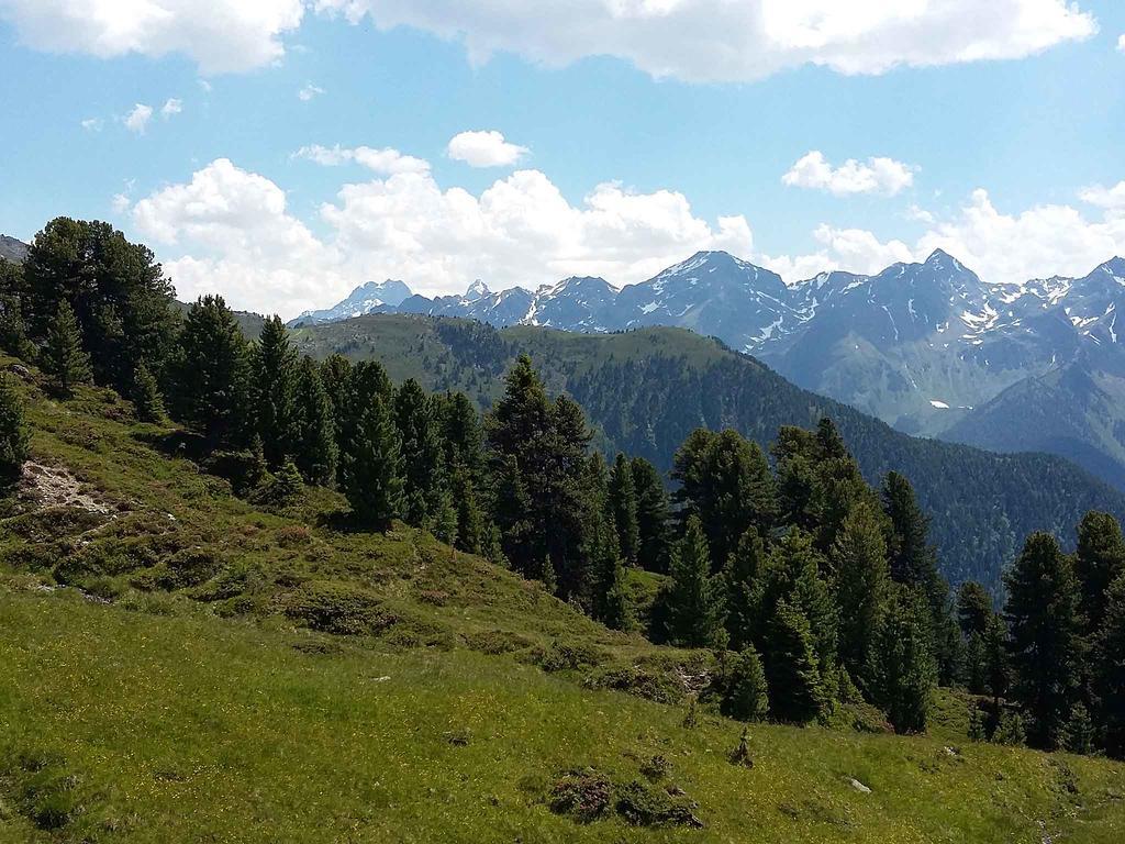 Haus Brigitte - Preise Inclusive Pitztal Sommer Card Jerzens Ngoại thất bức ảnh